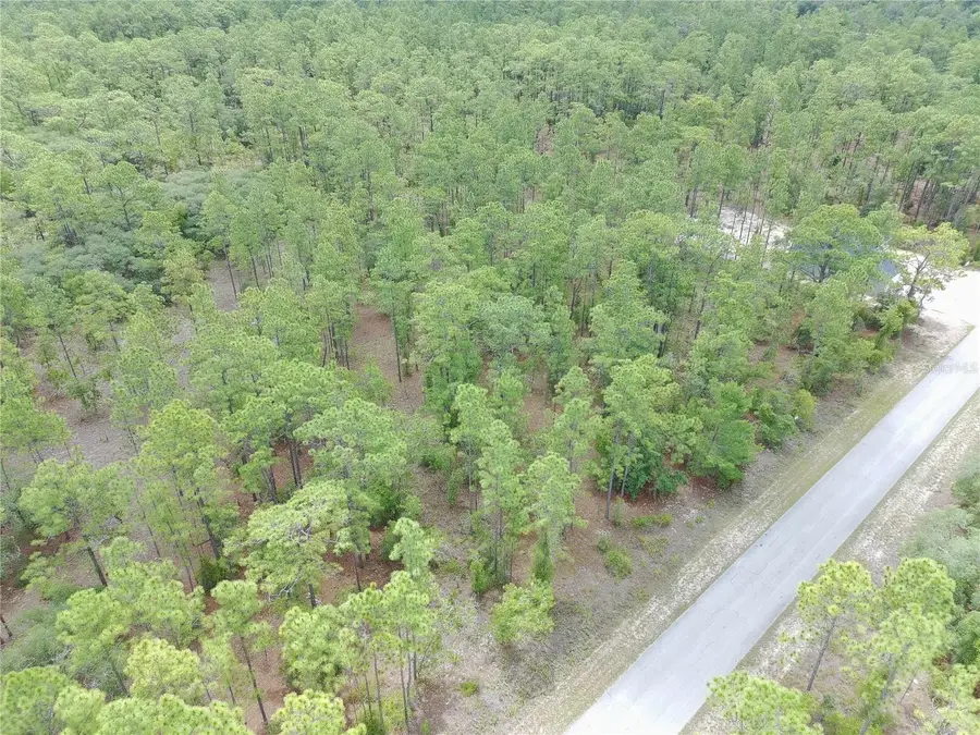 SW Buena Vista Road, Dunnellon, FL 34431 - #2