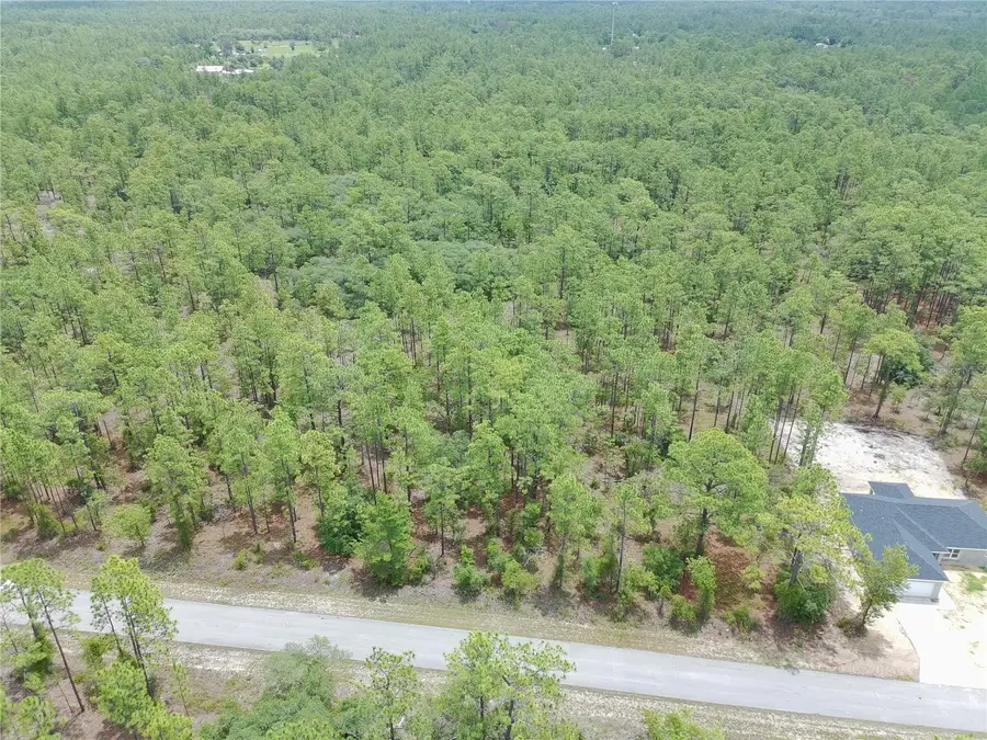 SW Buena Vista Road, Dunnellon, FL 34431 - #3