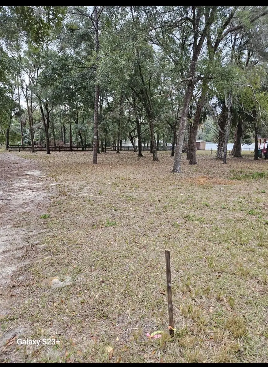 5463 E Tangelo Lane, Inverness, FL 34453 - #3