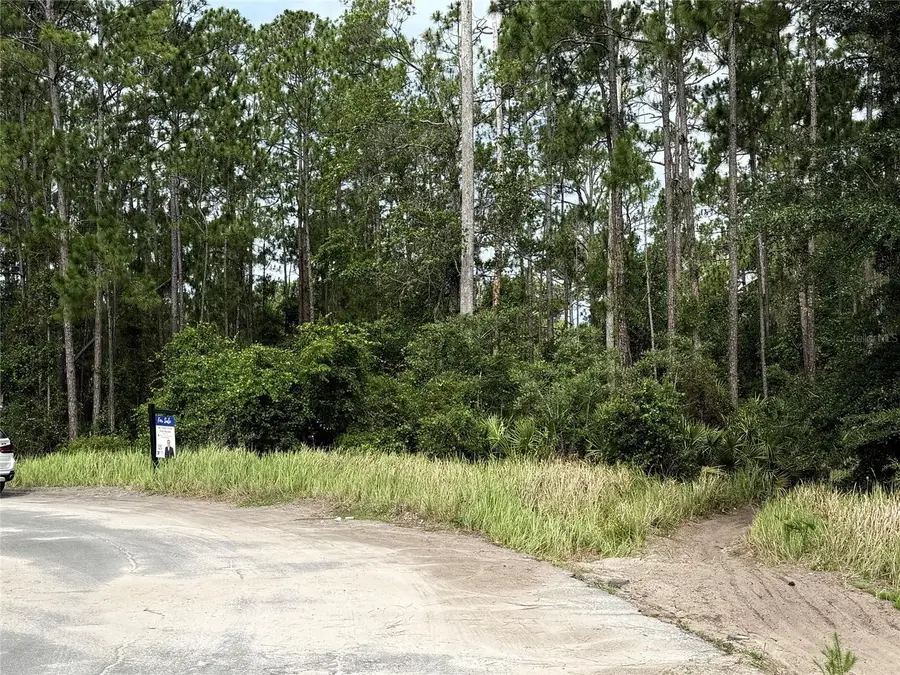 13114 Lacebark Pine Road, Orlando, FL 32832 - #2