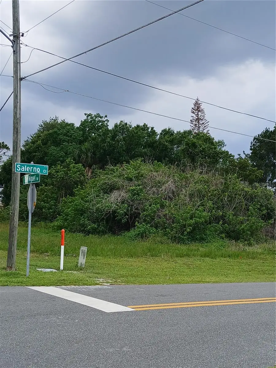 900 Salerno Court, Kissimmee, FL 34758 - #2