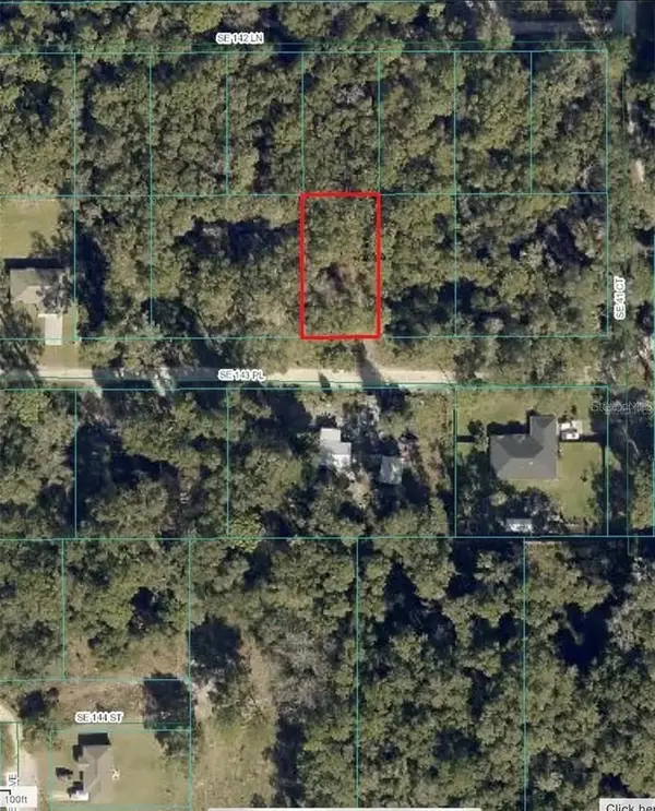 Undetermined, SUMMERFIELD, FL 34491
