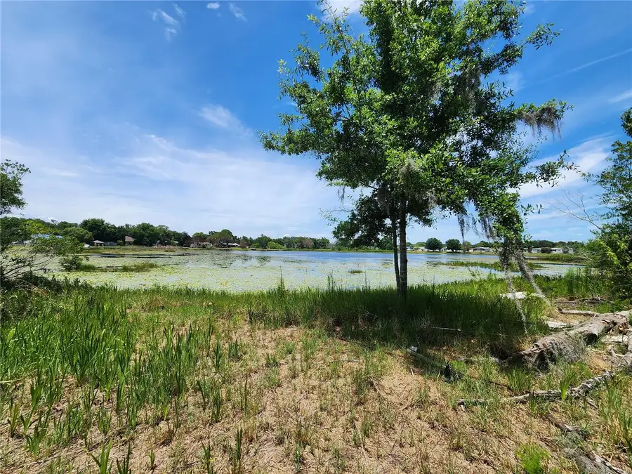 16950 Arrowhead Boulevard, Winter Garden, FL 34787 - #3