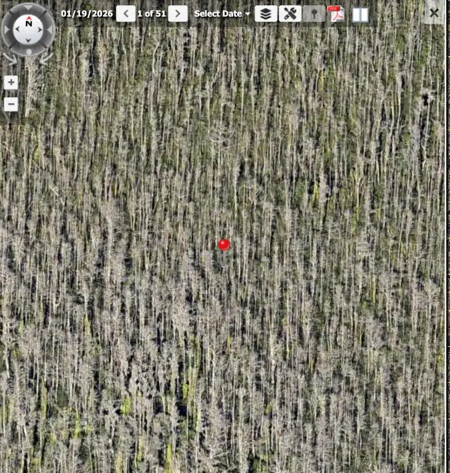 Holopaw Groves Road #Lot 125 & 126, Saint Cloud, FL 34773 - #3