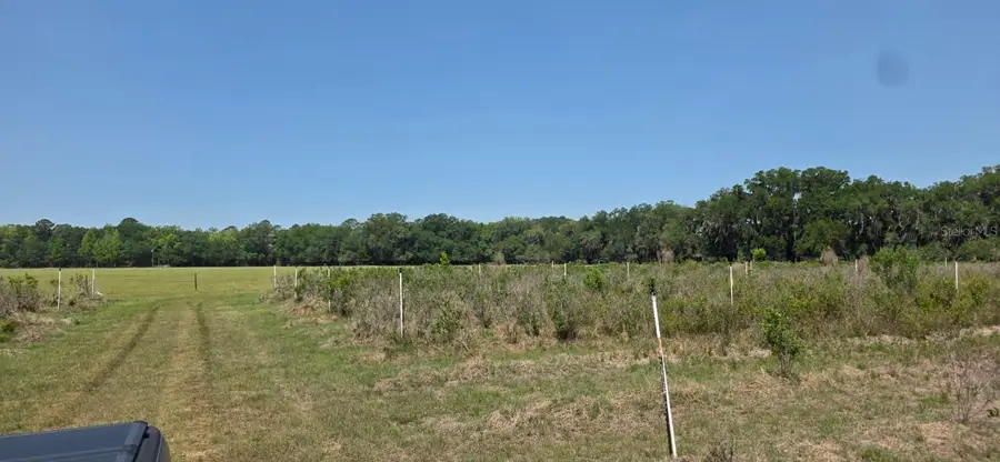 10434 SE 225th Drive, Hawthorne, FL 32640 - #3