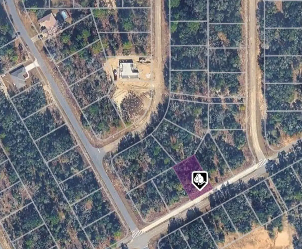 1625 W Delmane Drive, Dunnellon, FL 34434 - #1
