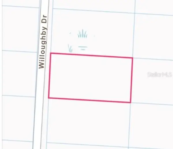 7352 Willoughby Drive, WEBSTER, FL 33597