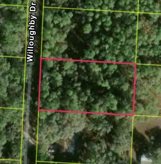 7352 Willoughby Drive, Webster, FL 33597 - #2
