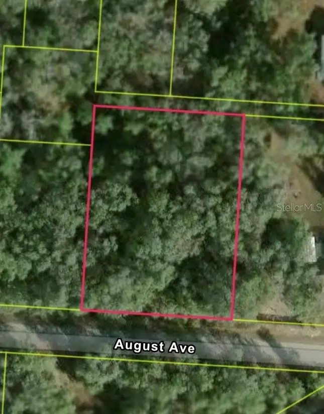 34039 August Avenue, Webster, FL 33597 - #2