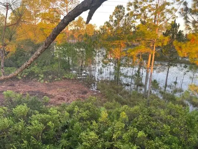 43820 Redlands Drive, Deland, FL 32720 - #1