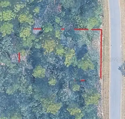 No Situs, Ocala, FL 34472 - #1