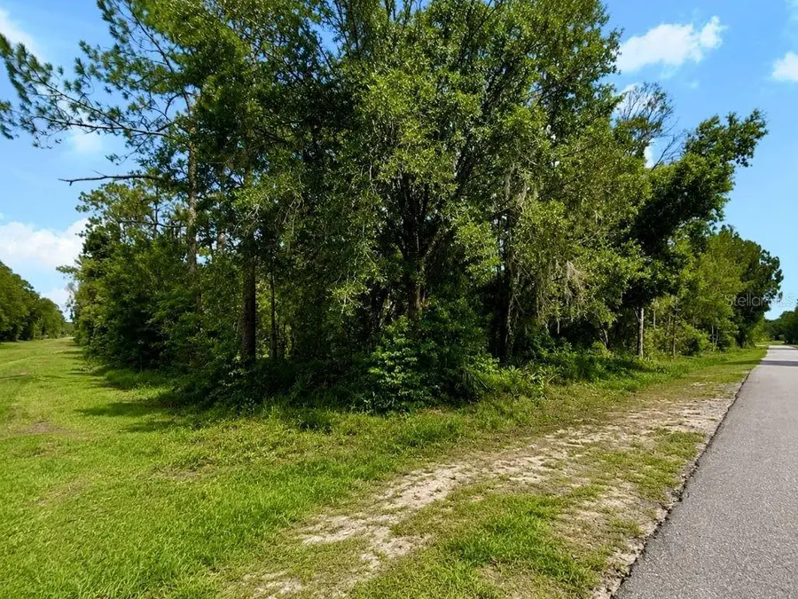 Blk 254 Lot 7 El Dorado Drive, Indian Lake Estates, FL 33855 - #3