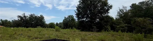 TBD Southwest 109th Place, DUNNELLON, FL 34432