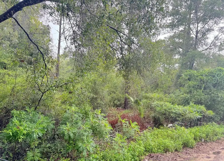 123xx NE 85th Street, Bronson, FL 32621 - #2