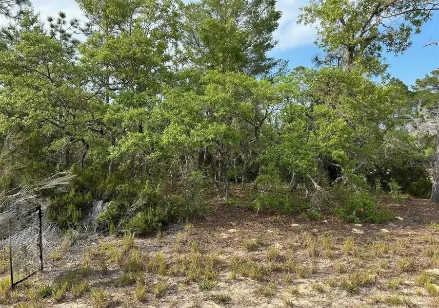 2923 W Pintado Drive, Citrus Springs, FL 34433 - #2
