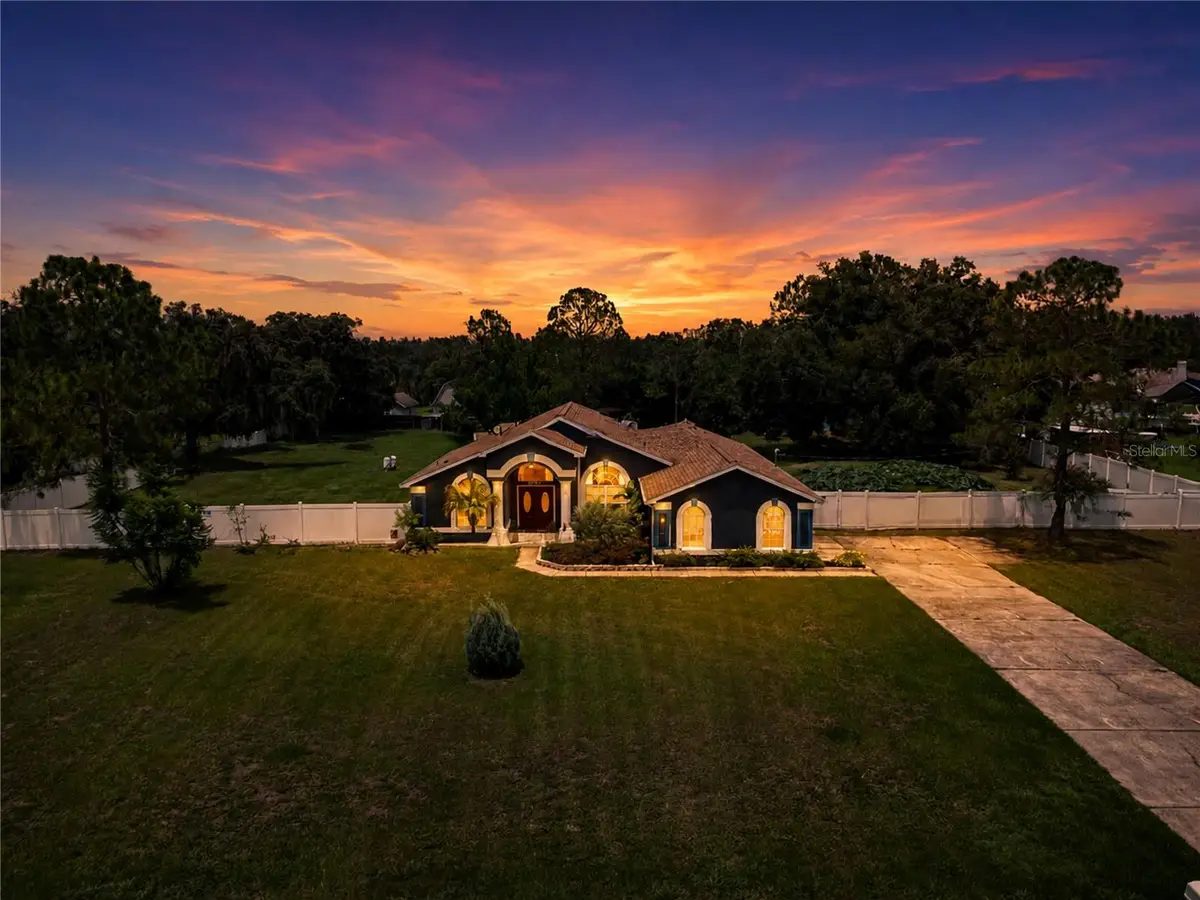 31439 Stirrup Lane, Wesley Chapel, FL 33543 - #1