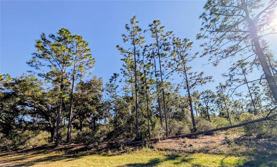 609 Indian Lake Drive, Indian Lake Estates, FL 33855 - #2