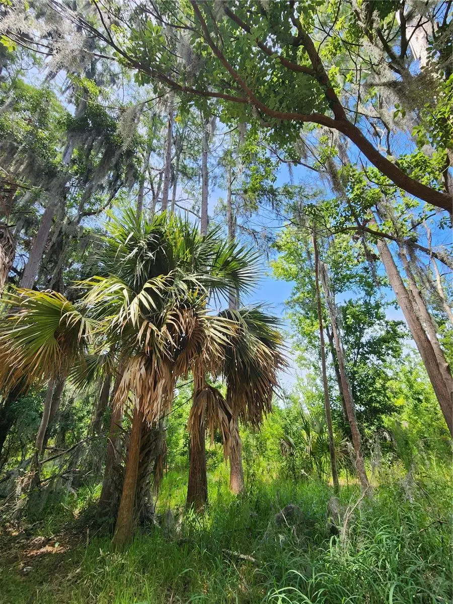 Arrowhead Boulevard, Winter Garden, FL 34787 - #2