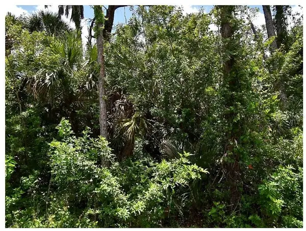 Numera Avenue, NORTH PORT, FL 34288