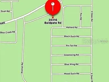 20316 Baldpate Road, Altoona, FL 32702 - #3