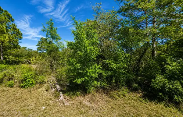 104 Tobler Terrace Nw, LAKE PLACID, FL 33852