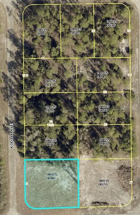 1015 Kodiak Avenue, LEHIGH ACRES, FL 33974