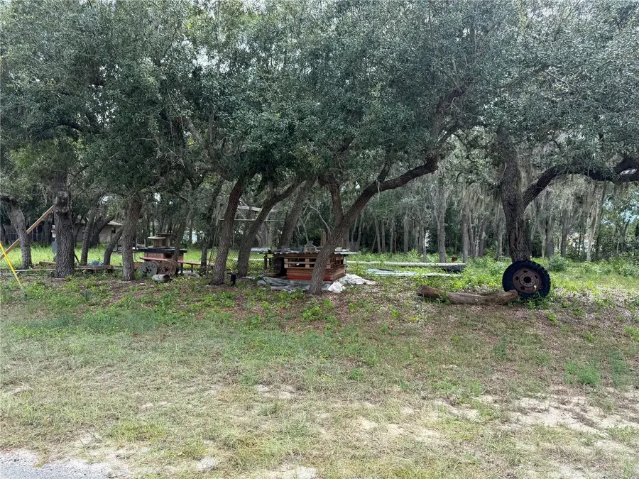 2425 N Charline Road, Avon Park, FL 33825 - #3