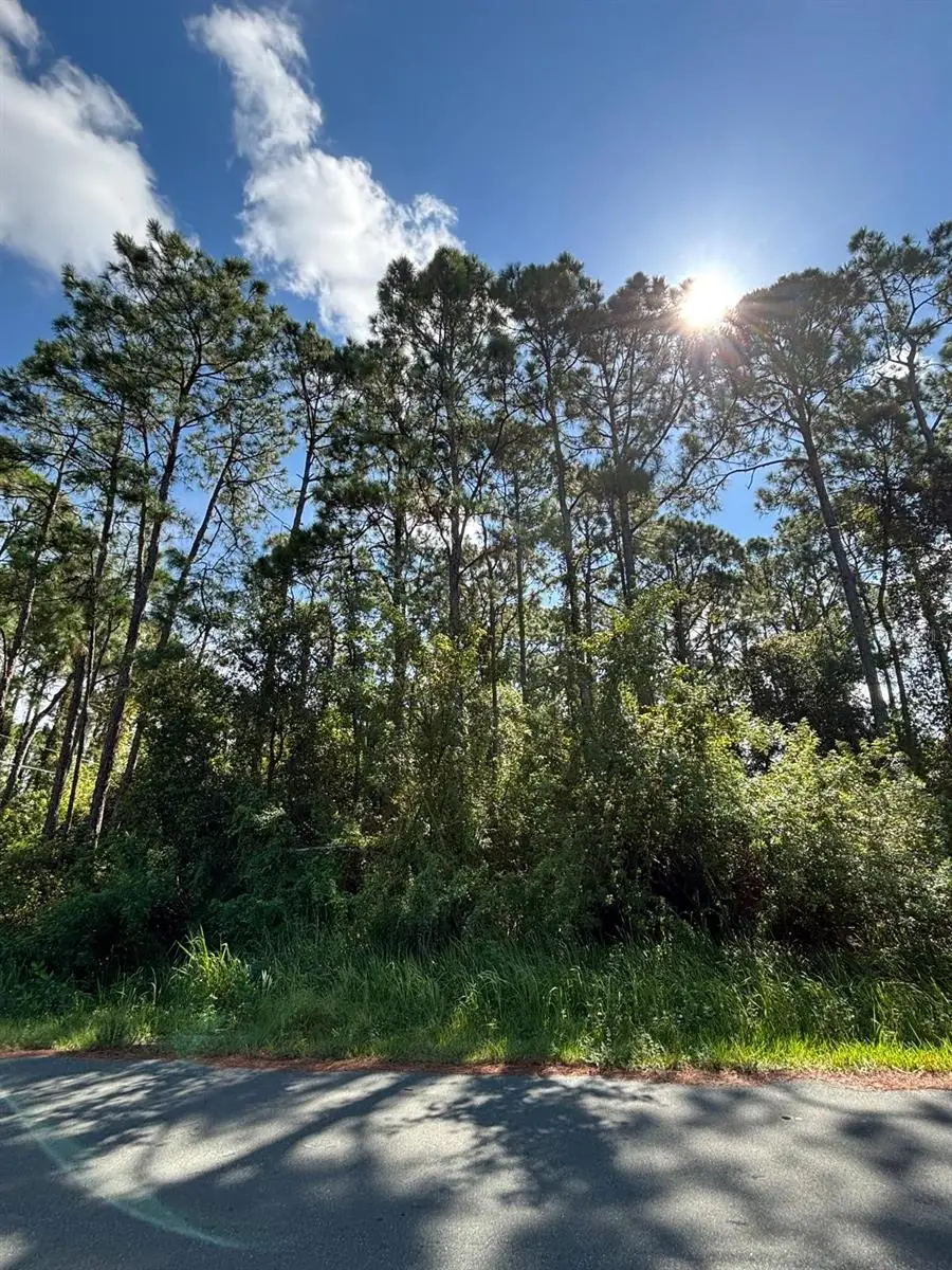 185 Deeyan Avenue Nw, Palm Bay, FL 32907 - #2