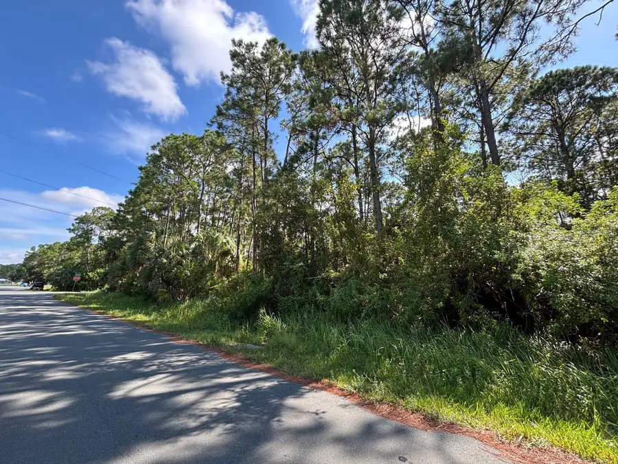 185 Deeyan Avenue Nw, Palm Bay, FL 32907 - #3