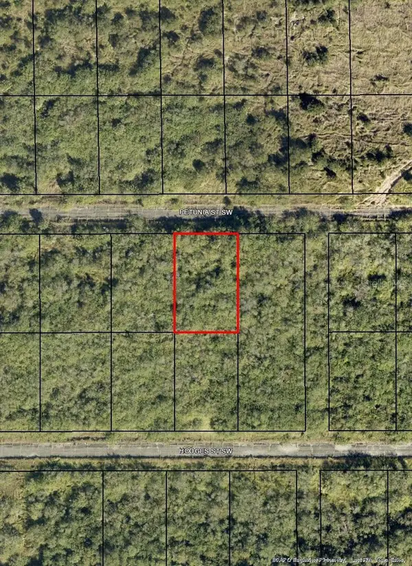 1574 Petunia Street Sw, PALM BAY, FL 32908