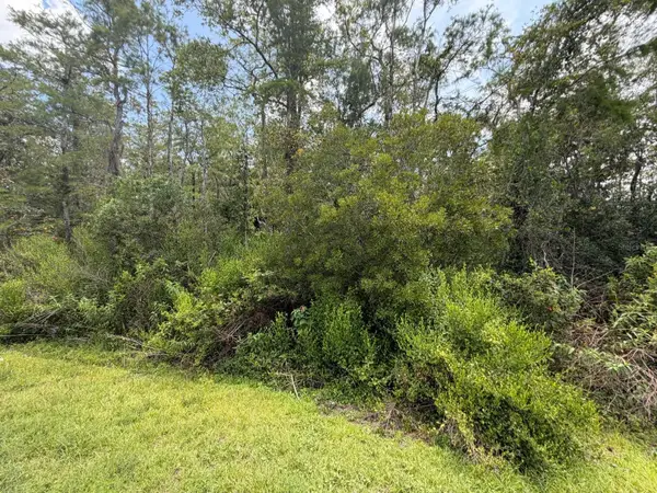 Tunbridge Street, ORLANDO, FL 32833