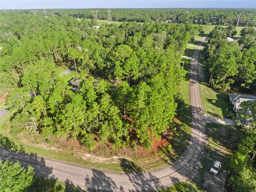 6698 N Foxdale Drive, Citrus Springs, FL 34434 - #2