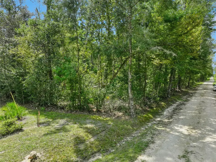152nd Pl, Wellborn, FL 32094 - #2