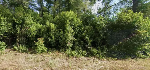 6315 E Rector Street, INVERNESS, FL 34452
