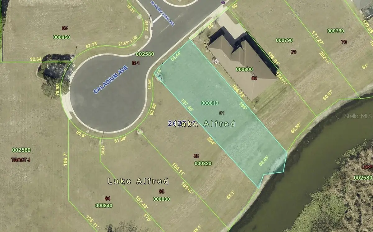 120 Caladium Avenue, Lake Alfred, FL 33850 - #1