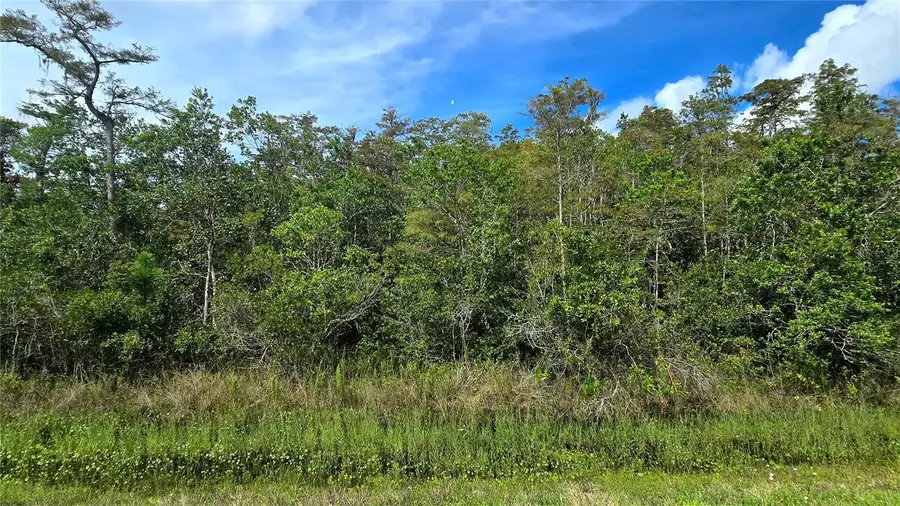 Pierre Avenue #Lot 162, Saint Cloud, FL 34773 - #3