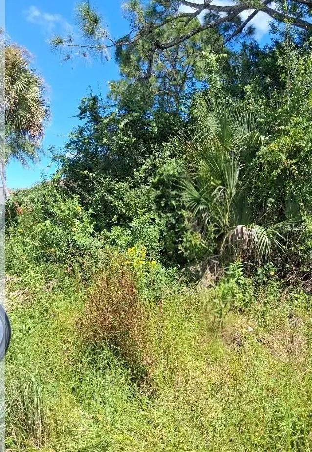 Gerhard Avenue, Palm Bay, FL 32908 - #1