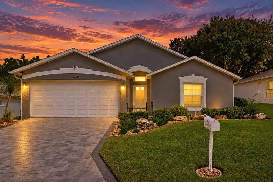 239 China Berry Circle, Davenport, FL 33837 - #2