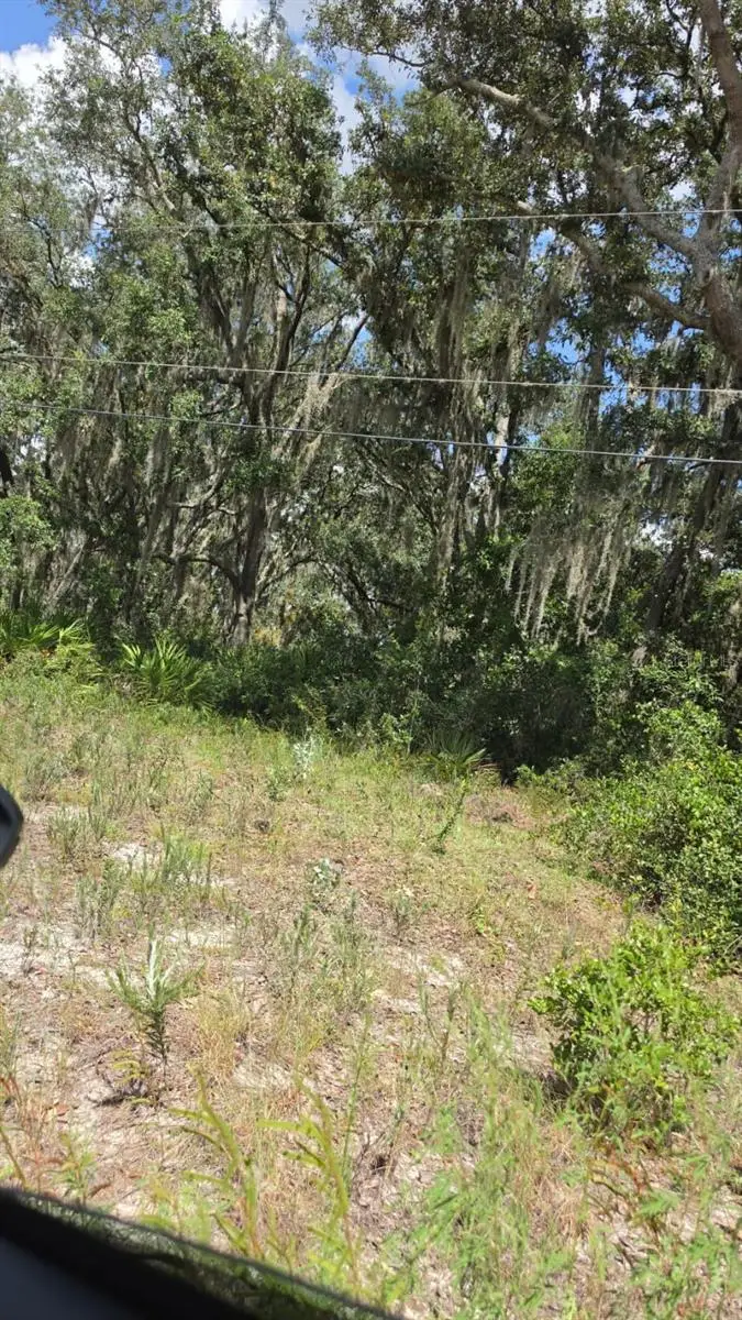 416 N Walker Road, Avon Park, FL 33825 - #2