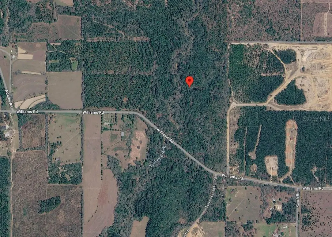 33-4n-20-29000-010-0010, Defuniak Springs, FL 32433 - #1