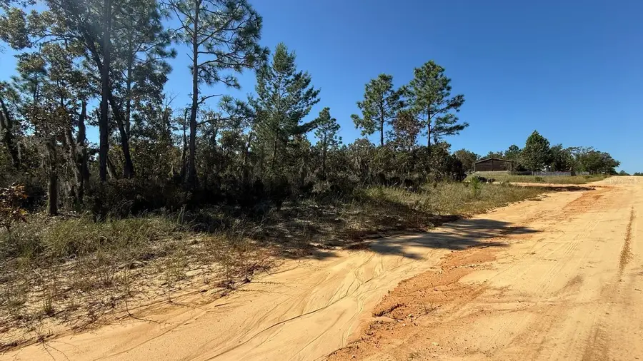 1403 Drew Lane, Interlachen, FL 32148 - #3