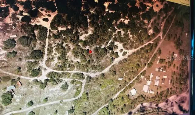Holopaw Groves Road, Saint Cloud, FL 34772 - #3