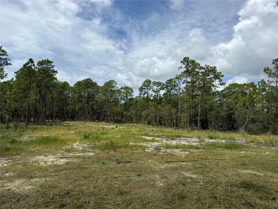 0000 Se 139th Court, Dunnellon, FL 34431 - #3