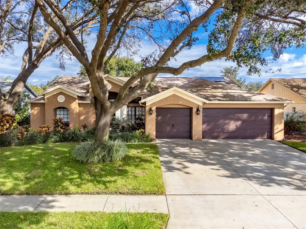 12308 Windswept Avenue, Riverview, FL 33569 - Image #1