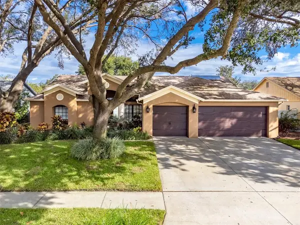 12308 Windswept Avenue, RIVERVIEW, FL 33569