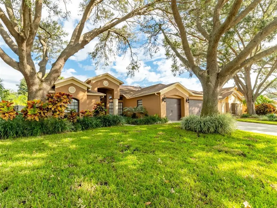 12308 Windswept Avenue, Riverview, FL 33569 - Image #2