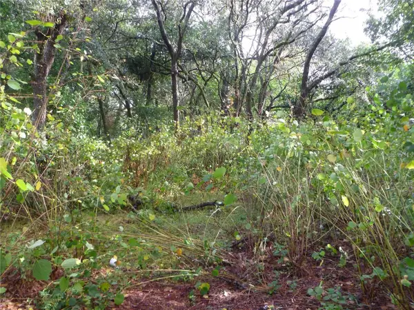 10024 Oana Street, NEW PORT RICHEY, FL 34654