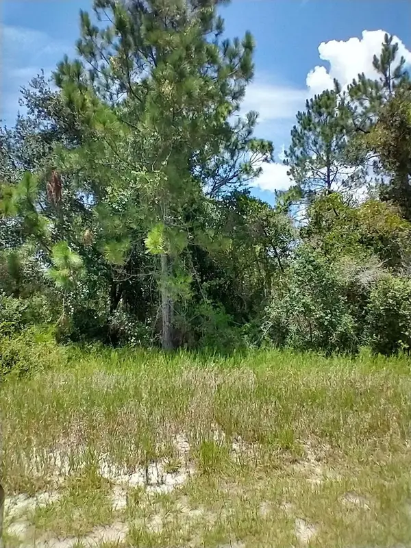 1322 Tallahassee Court, KISSIMMEE, FL 34759