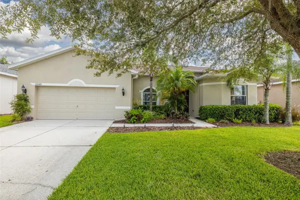 10048 Cleghorn Drive, SAN ANTONIO, FL 33576