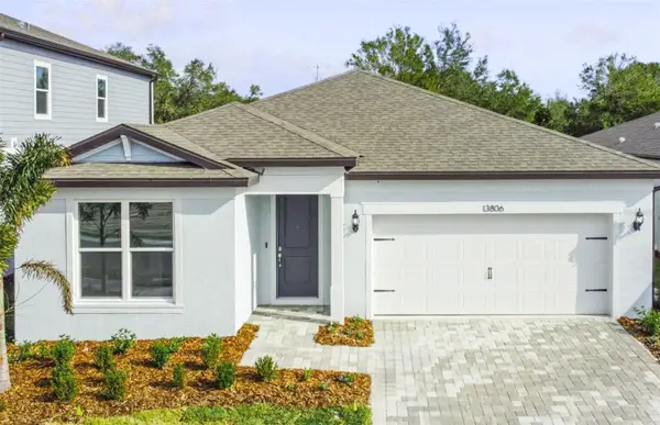 13806 Sunlight Meadow Drive, RIVERVIEW, FL 33578